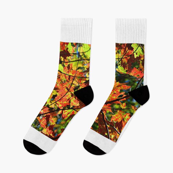 Item preview, Autumn Abstract designed and sold by LisaWootenPhoto.