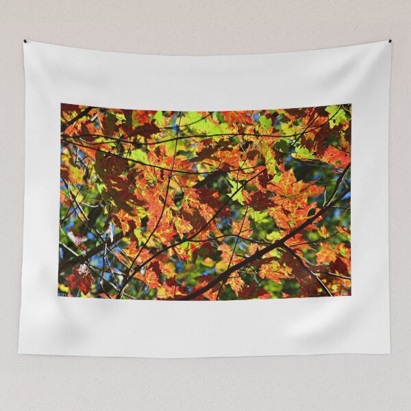 Item preview, Autumn Abstract designed and sold by LisaWootenPhoto.
