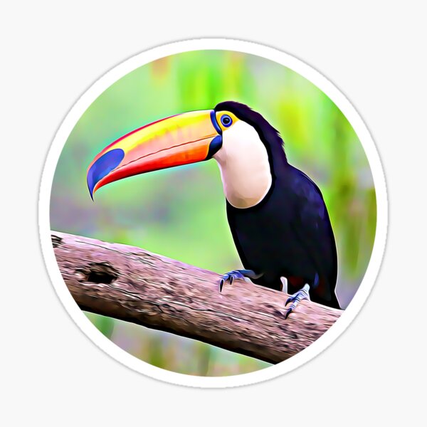 Toucan Portrait Sticker