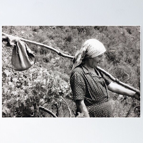 Item preview, Grape Harvest designed and sold by phil decocco.