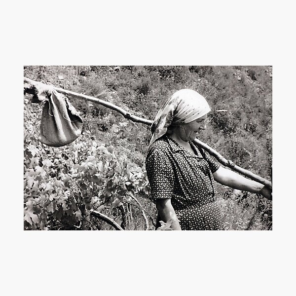 Item preview, Grape Harvest designed and sold by phil decocco.