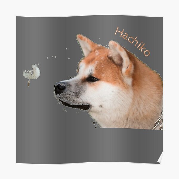 Hachiko - Akita Poster