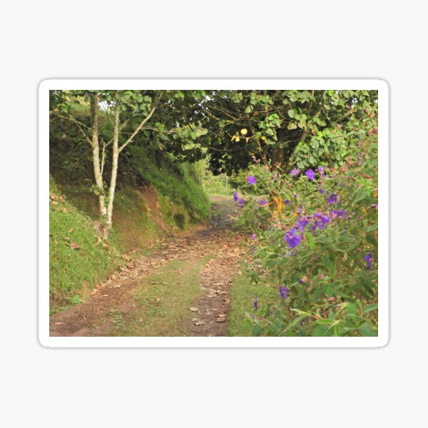 Item preview, Royal Purple Tibouchina Flowers on a Hiking Trail designed and sold by MoniqueIuna.