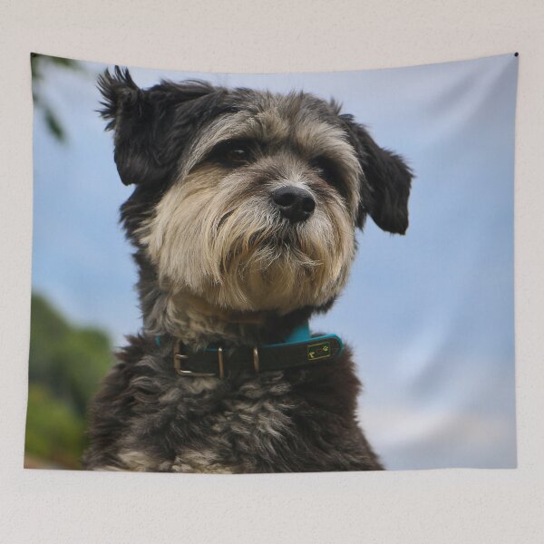 Item preview, Dog - cool designed and sold by laura-S.