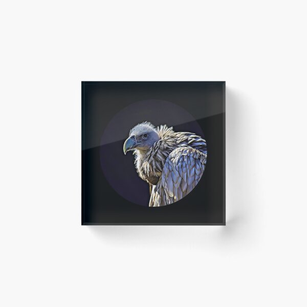 Item preview, Griffon Vulture Portrait designed and sold by RevolutionInPaint.