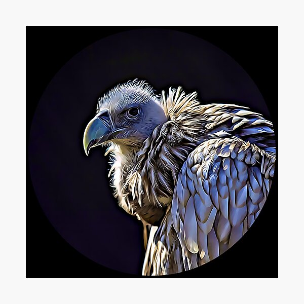 Item preview, Griffon Vulture Portrait designed and sold by RevolutionInPaint.