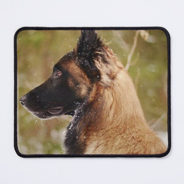 Item preview, belgian shepherd malinois face designed and sold by mikoala50.