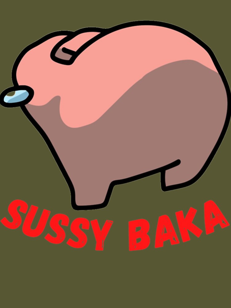 sussy baka. : r/AmongUsMemes