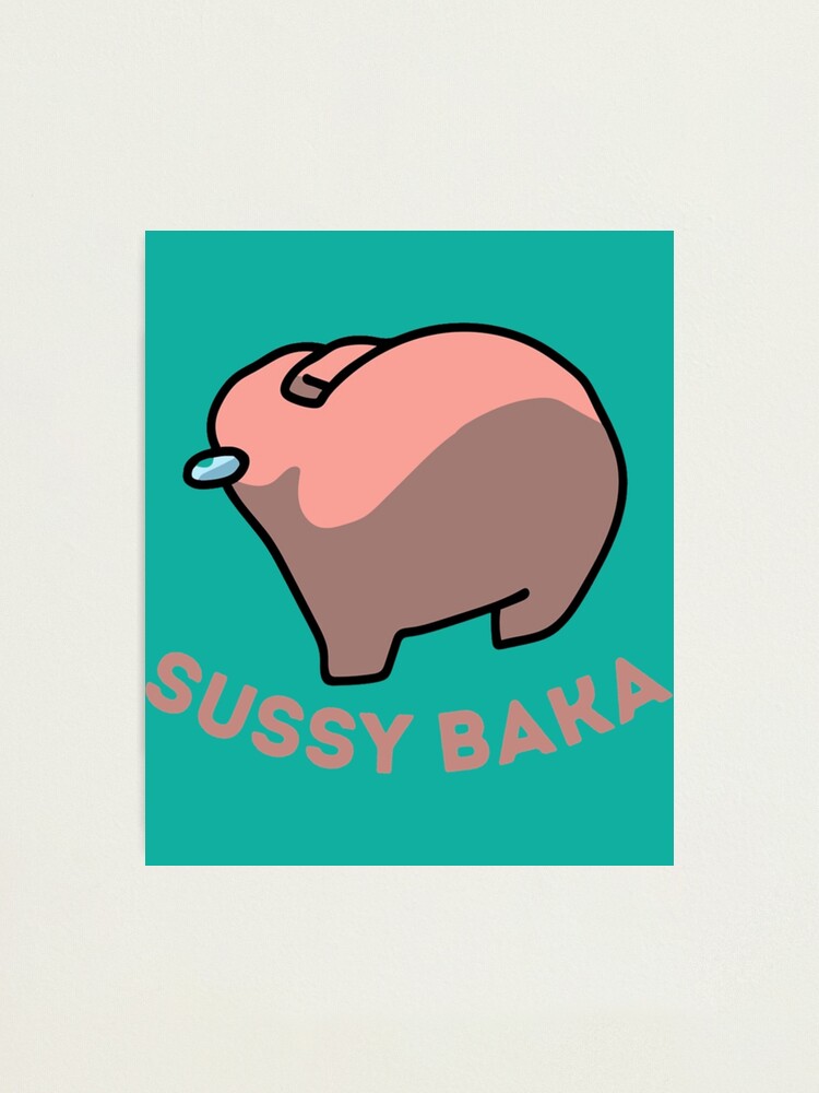 Sussy Baka Amongus Im Meme | Photographic Print