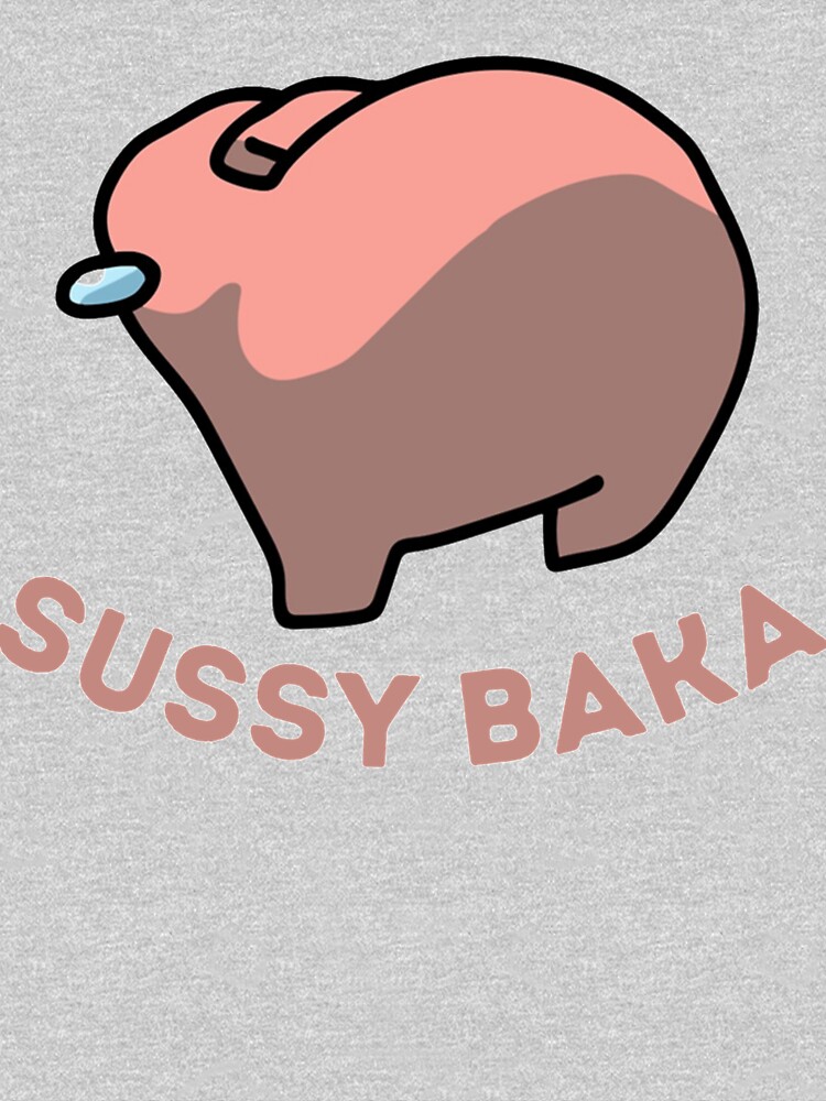 Sussy Baka Amongus Im Meme  Art Board Print for Sale by BigToeMan