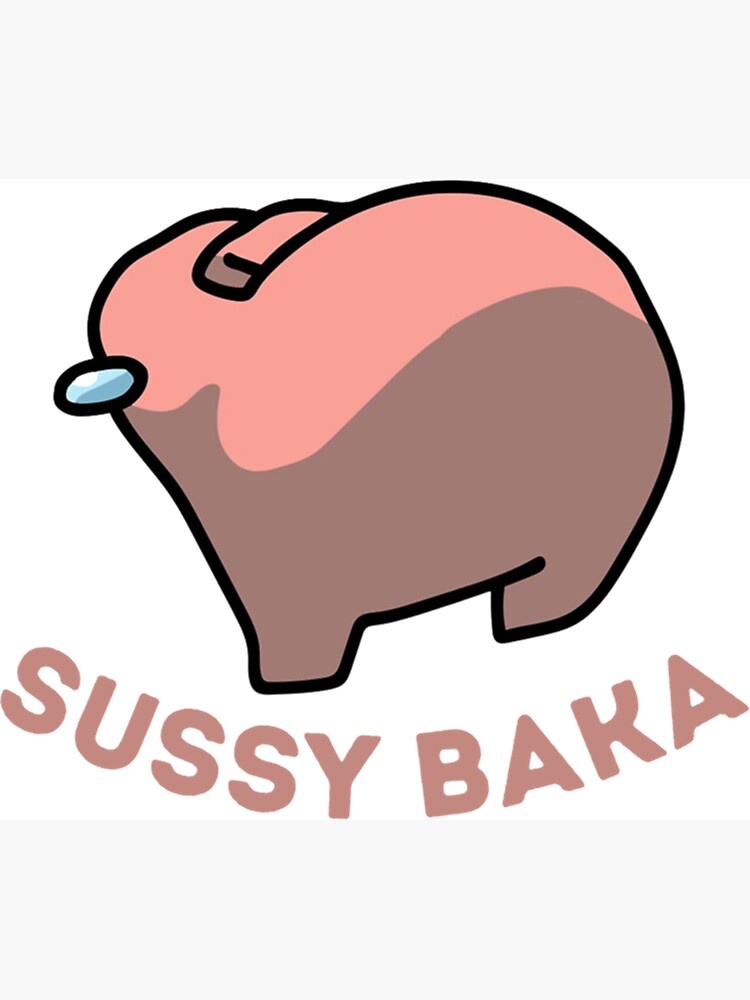 Sussy Baka Amongus Im Meme  Poster for Sale by BigToeMan