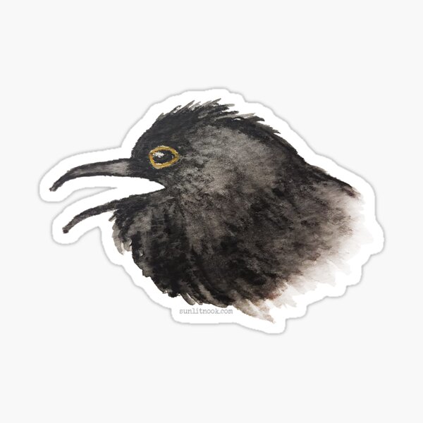 Watercolor Crow Sticker