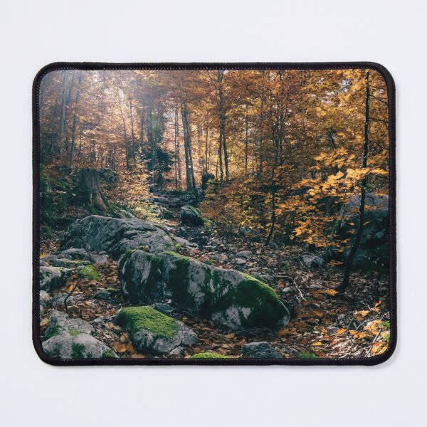 Item preview, Foliage in the woods of Julian Alps designed and sold by zakaz86.