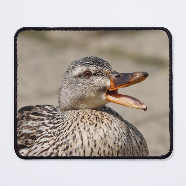 Item preview, Quacking! designed and sold by GreyFeatherPhot.