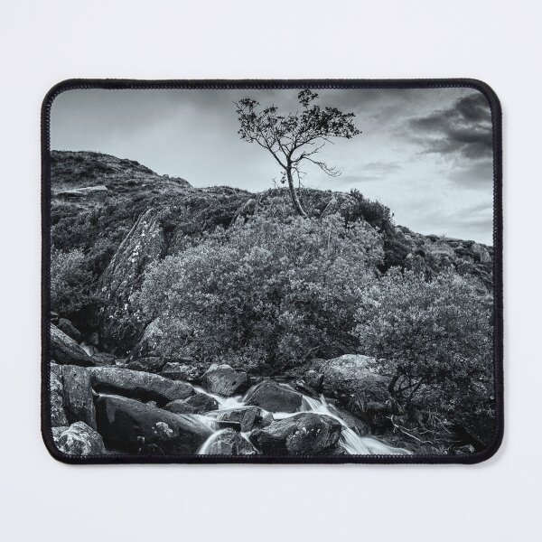 Item preview, Tree in Snowdonia designed and sold by David Lichtneker.