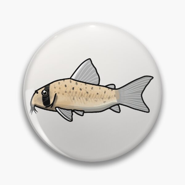 Item preview, Atropersonatus corydoras, best fishkeeper gift, aquarium gift - aquadesk designed and sold by Aquadesk.