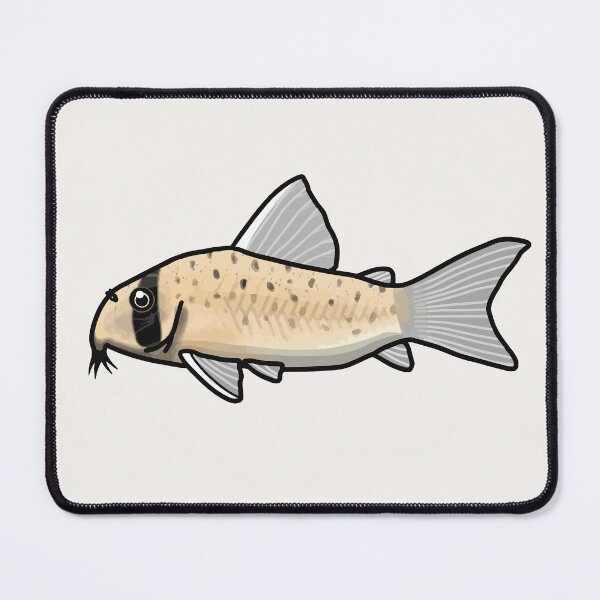 Item preview, Atropersonatus corydoras, best fishkeeper gift, aquarium gift - aquadesk designed and sold by Aquadesk.