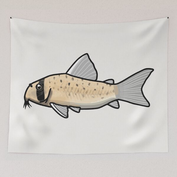 Item preview, Atropersonatus corydoras, best fishkeeper gift, aquarium gift - aquadesk designed and sold by Aquadesk.