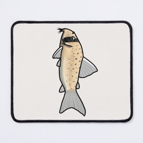 Item preview, Atropersonatus panda corydoras - aquadesk designed and sold by Aquadesk.