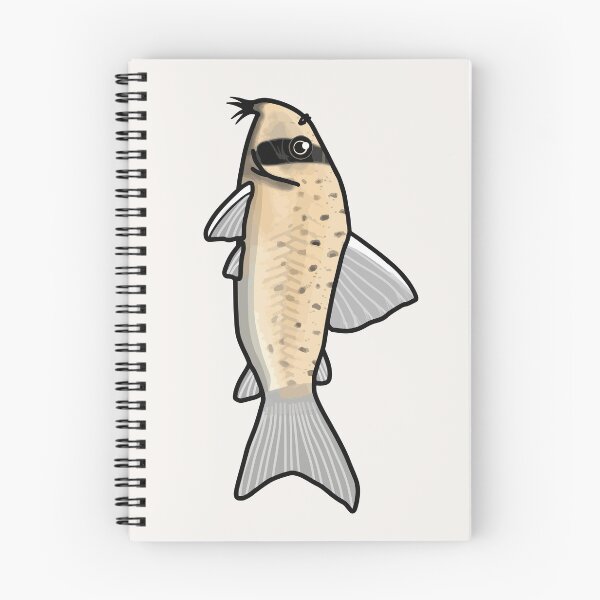 Item preview, Atropersonatus panda corydoras - aquadesk designed and sold by Aquadesk.