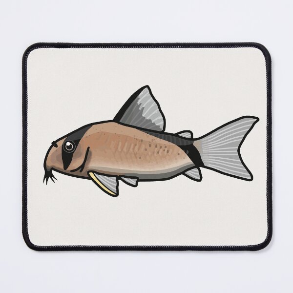 Item preview, Melini corydoras, best fishkeeper gift, aquarium gift - aquadesk designed and sold by Aquadesk.