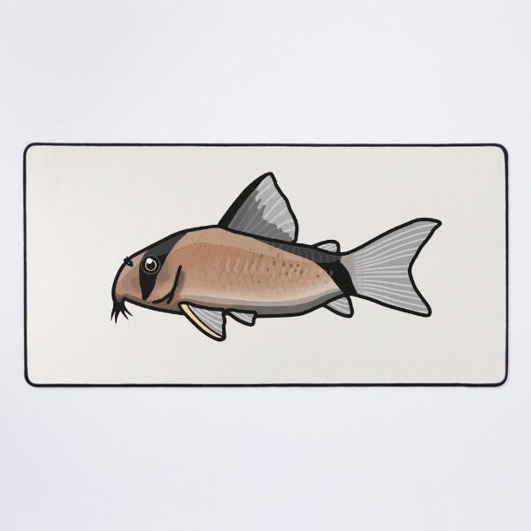 Item preview, Melini corydoras, best fishkeeper gift, aquarium gift - aquadesk designed and sold by Aquadesk.