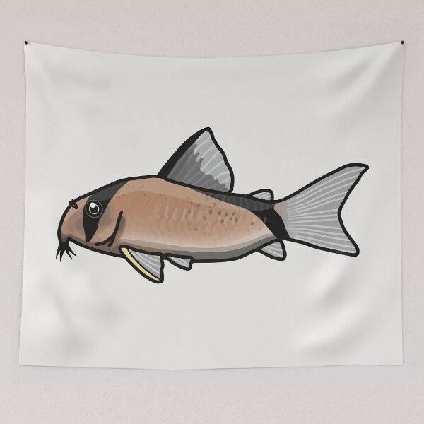 Item preview, Melini corydoras, best fishkeeper gift, aquarium gift - aquadesk designed and sold by Aquadesk.