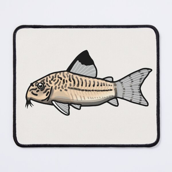 Item preview, Julii corydoras, best fishkeeper gift, aquarium gift - aquadesk designed and sold by Aquadesk.
