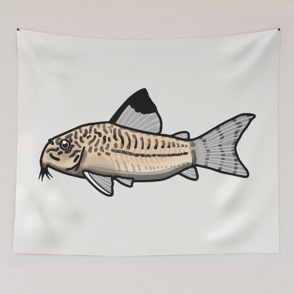 Item preview, Julii corydoras, best fishkeeper gift, aquarium gift - aquadesk designed and sold by Aquadesk.