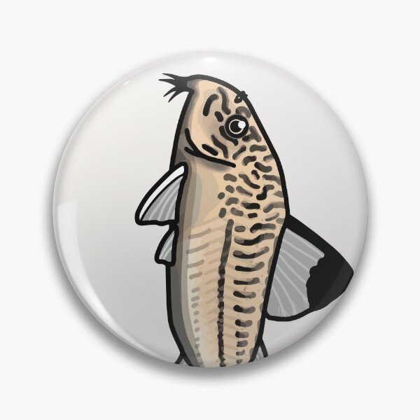 Item preview, Julii panda corydoras - aquadesk designed and sold by Aquadesk.