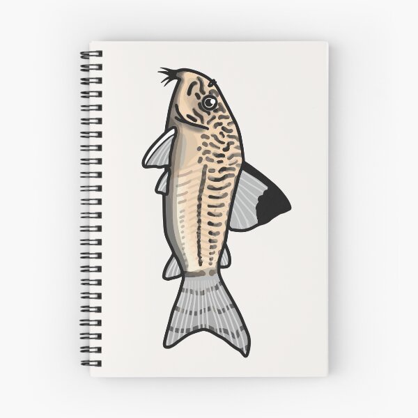 Item preview, Julii panda corydoras - aquadesk designed and sold by Aquadesk.