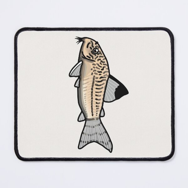 Item preview, Julii panda corydoras - aquadesk designed and sold by Aquadesk.