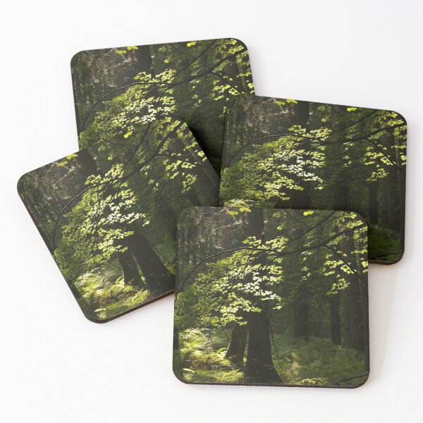 Item preview, `Digital photograph  of sunlit Beech leaves designed and sold by SimonJohnson1.