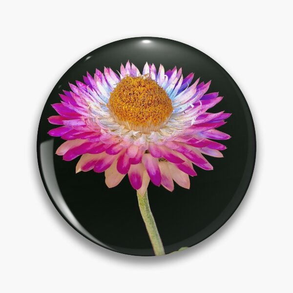 Item preview, Beautiful image of a paper daisy flower designed and sold by Floradigital.