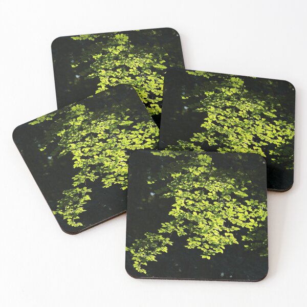 Item preview, Digital Photograph  of sunlit beech leaves designed and sold by SimonJohnson1.