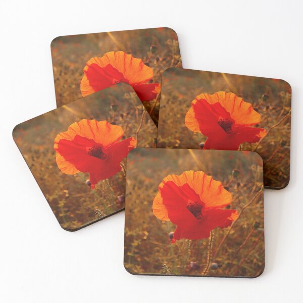 Item preview, Digital Photograph of Sunlit Poppy designed and sold by SimonJohnson1.