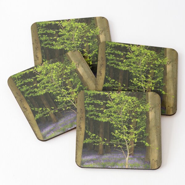 Item preview, Digital Photograph of sunlit beech tree designed and sold by SimonJohnson1.