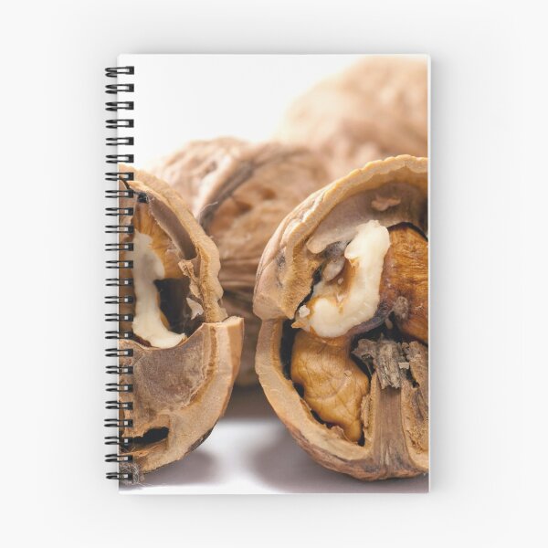 Item preview, Walnuts in the Shell designed and sold by KauriMountain.