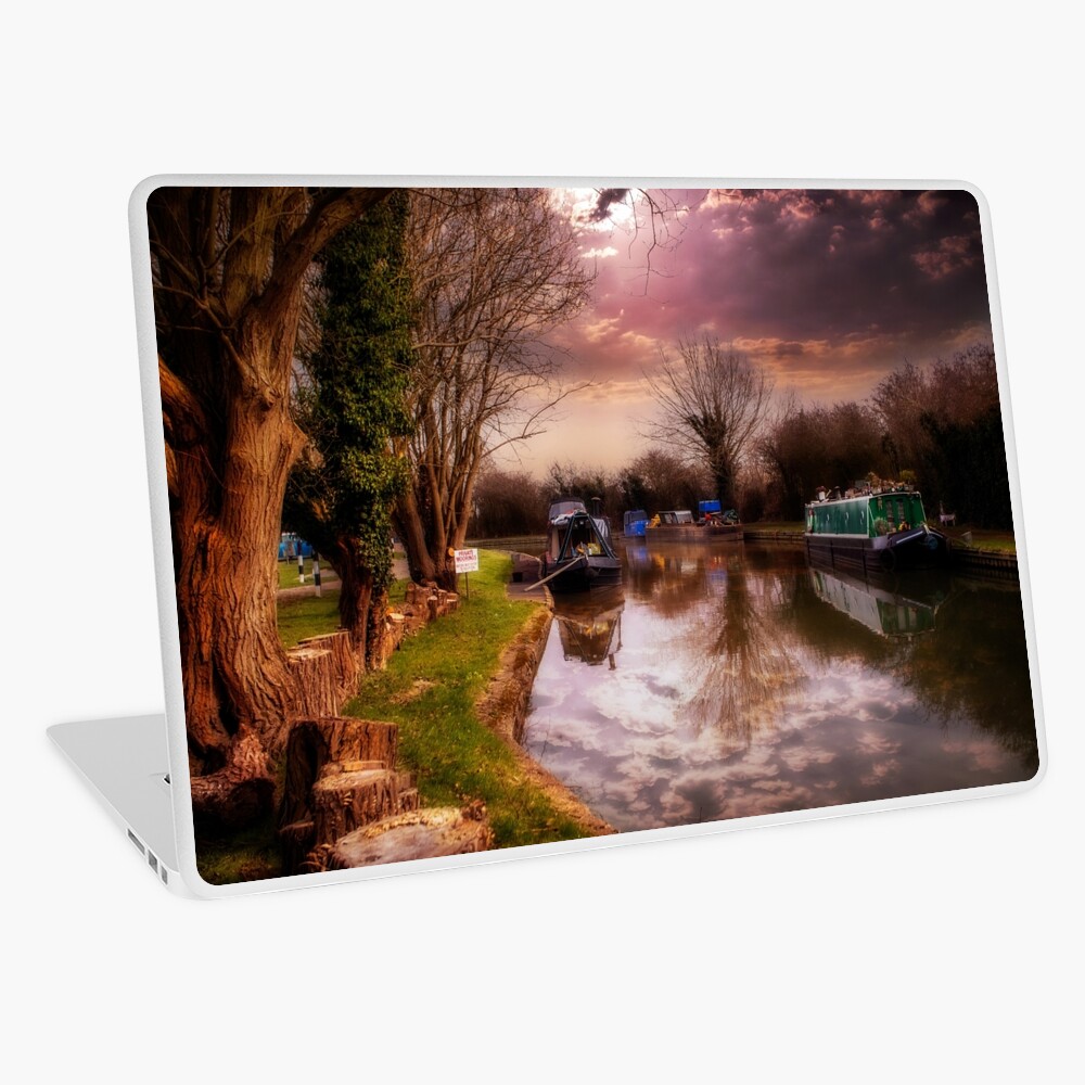 Item preview, Laptop Skin designed and sold by NBHannah.