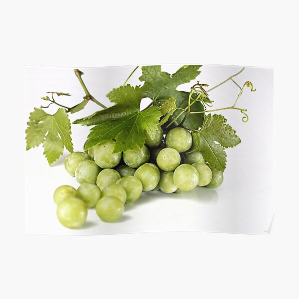 Bunch of Green Grapes Poster