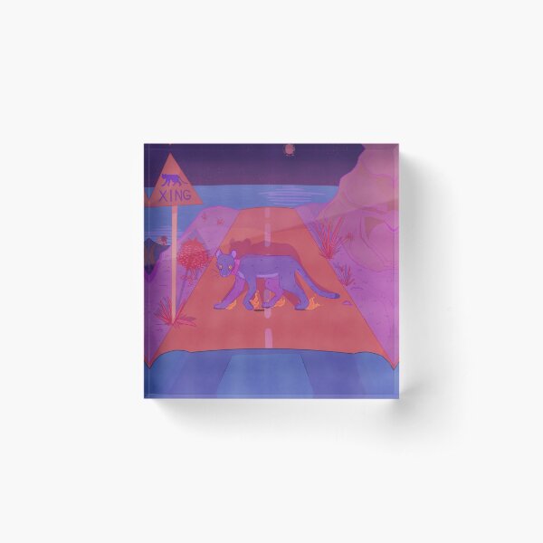 p-22 Acrylic Block