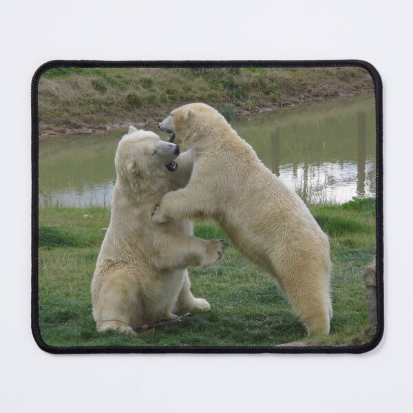 Item preview, Polar Bears Play Fighting designed and sold by LoneAngel.