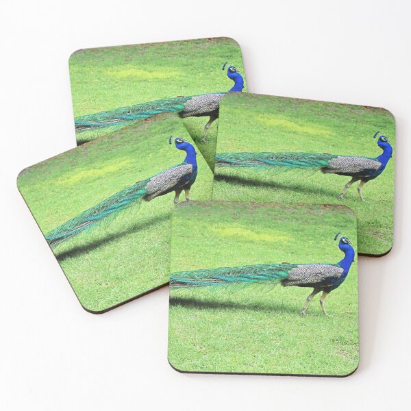 Item preview, Peacock Strut designed and sold by Michiale.