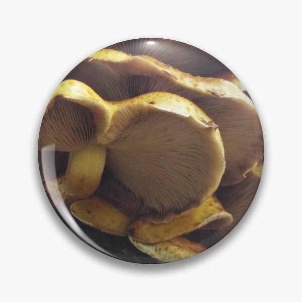Item preview, Wild growing fungus designed and sold by CACreations.
