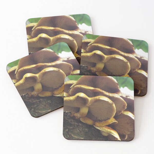 Item preview, Wild growing fungus designed and sold by CACreations.