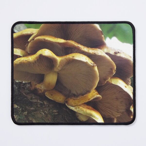 Item preview, Wild growing fungus designed and sold by CACreations.