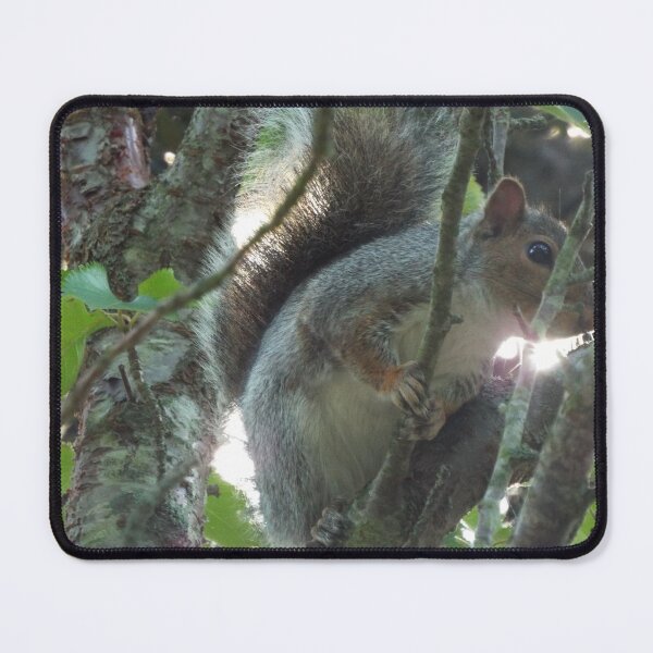 Item preview, Gray squirrel  designed and sold by CACreations.