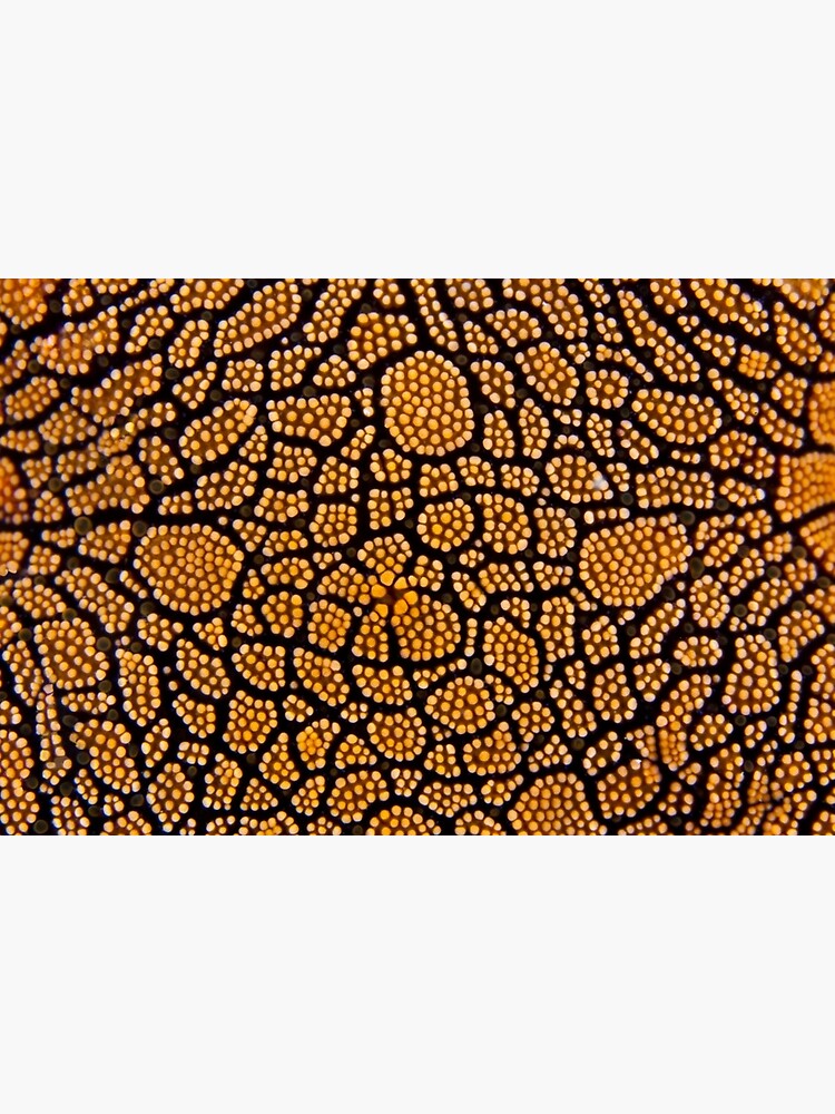 Dot painting by DavidWachenfeld