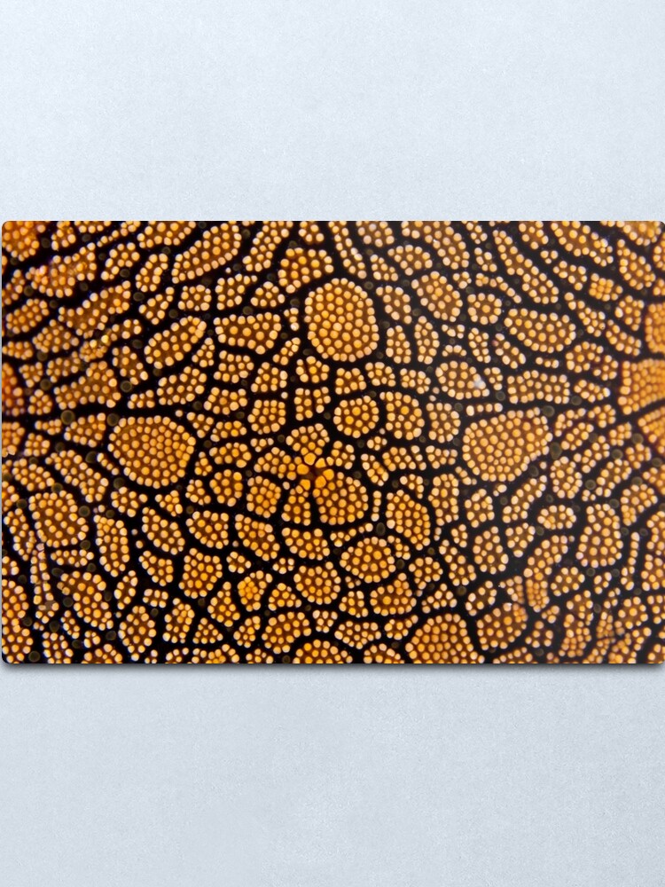 Alternate view of Dot painting Metal Print