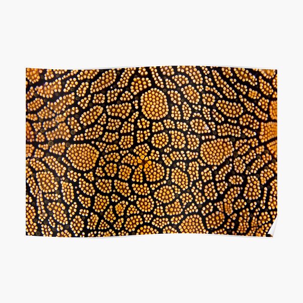 Dot painting Poster